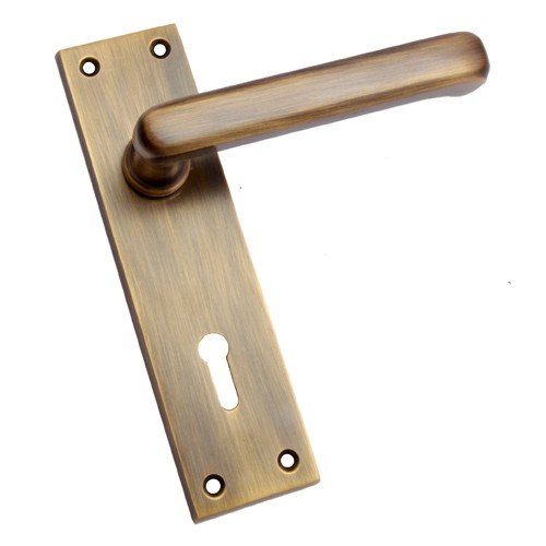 "Semachiah" Brass Door Handle with Plate